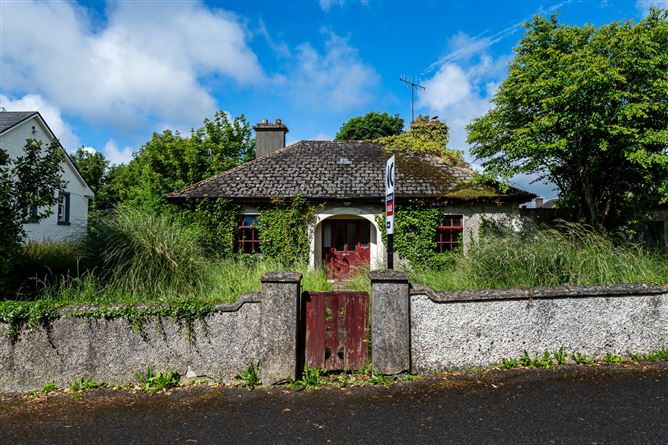 The Fairgreen, Clara, Co. Offaly