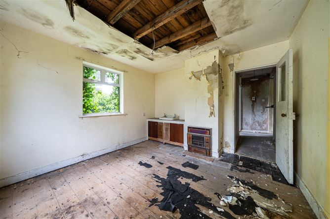 The Fairgreen, Clara, Co. Offaly