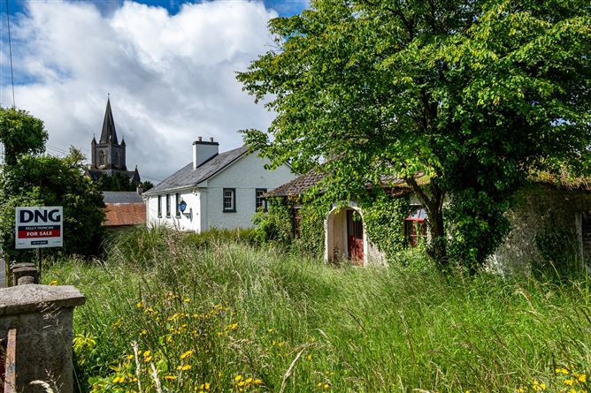 The Fairgreen, Clara, Co. Offaly