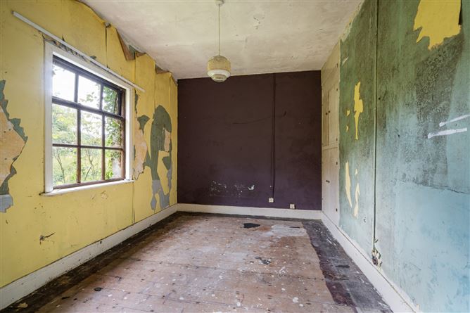 The Fairgreen, Clara, Co. Offaly