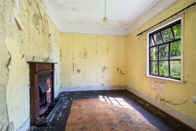 The Fairgreen, Clara, Co. Offaly