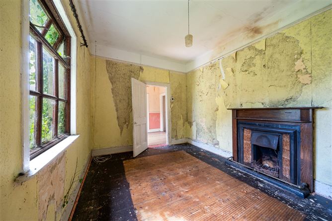 The Fairgreen, Clara, Co. Offaly