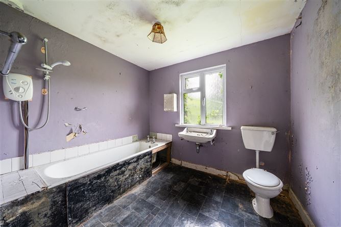 The Fairgreen, Clara, Co. Offaly