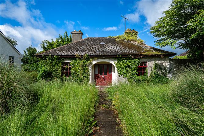 The Fairgreen, Clara, Co. Offaly