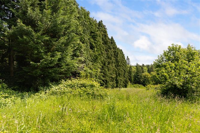 2 Kingston, Rathdrum, Co. Wicklow