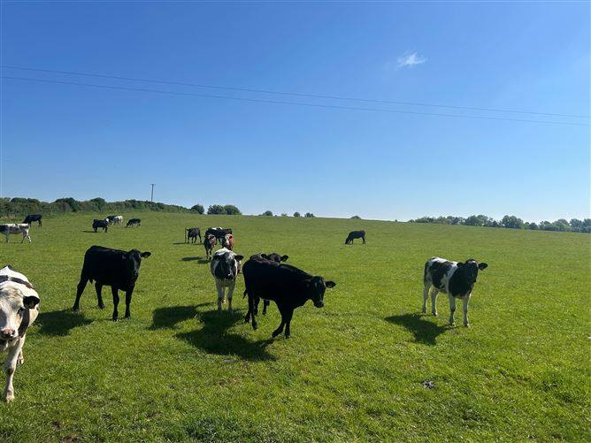 Ballasport, Hill Of Down, Enfield, Meath