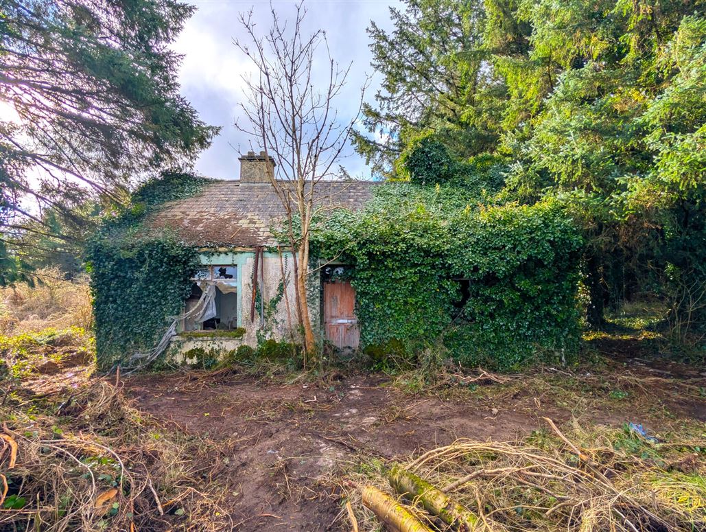 Srah Lower, Carracastle, Ballaghaderreen, Co. Mayo