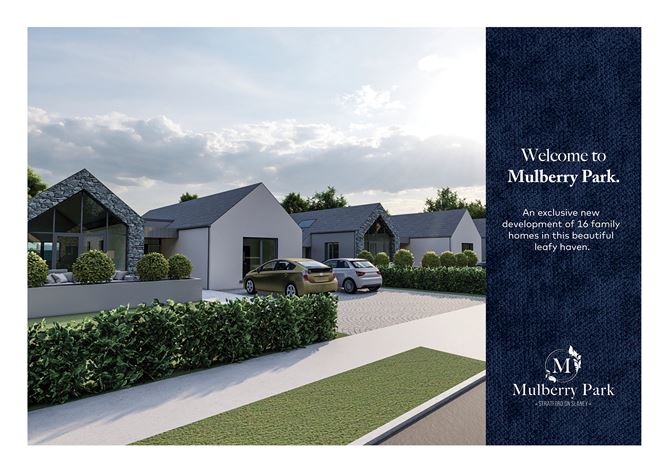 Main image for Mulberry Park, Stratford-on-Slaney, Wicklow