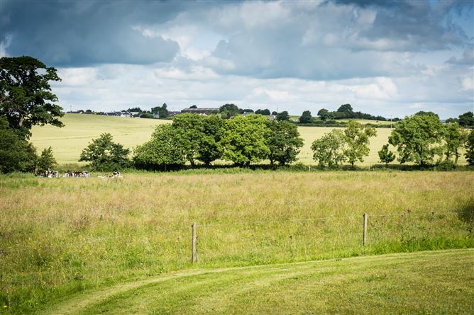 Parsonstown House on C. 65 Acres, Parsonstown, Lobinstown, County Meath