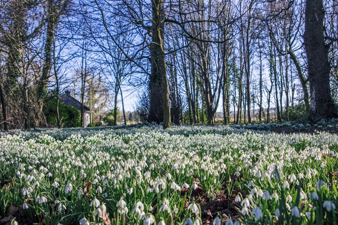 Parsonstown House on C. 65 Acres, Parsonstown, Lobinstown, County Meath