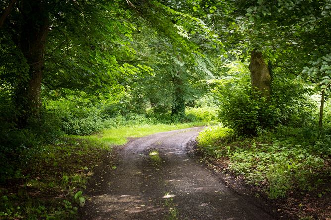 Parsonstown House on C. 65 Acres, Parsonstown, Lobinstown, County Meath