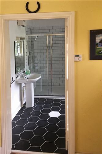 1 Bed in Woodenbridge,Woodenbridge,  Wicklow