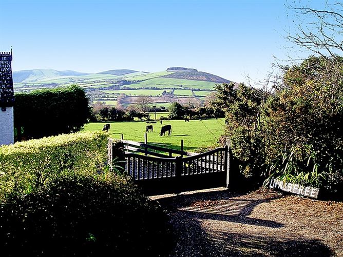 1 Bed in Woodenbridge,Woodenbridge,  Wicklow