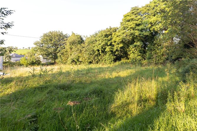 Site (S.P.P) At, Drumelis, Co. Cavan
