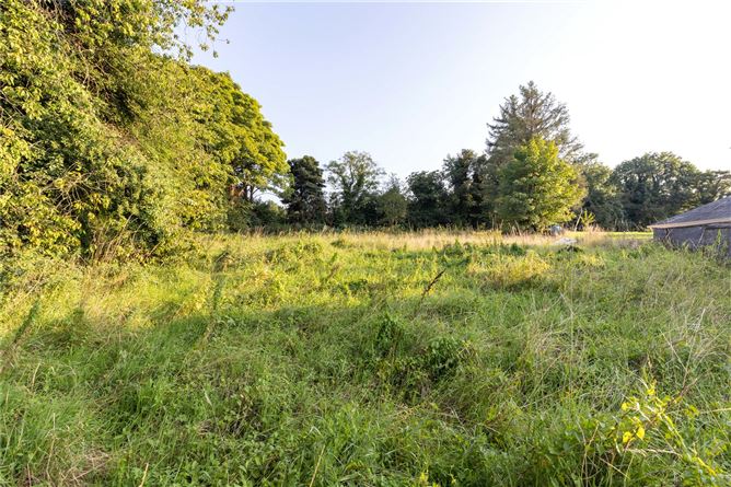 Site (S.P.P) At, Drumelis, Co. Cavan