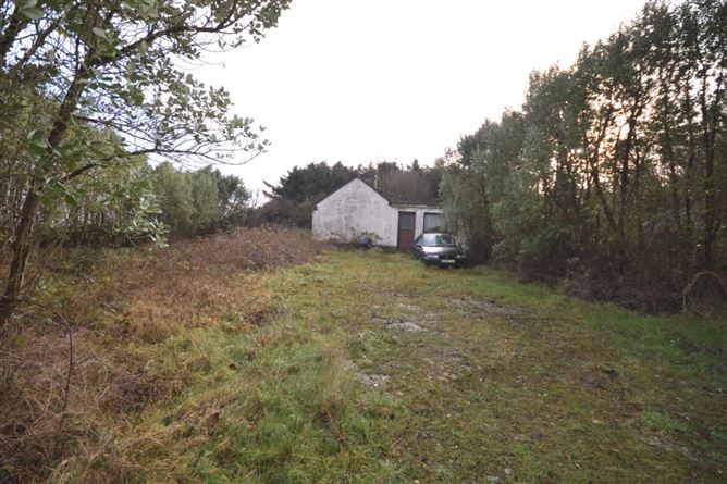 Newline, Dooyork, Geesala, Co. Mayo