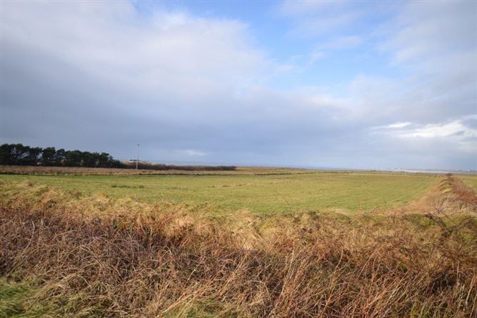 Newline, Dooyork, Geesala, Co. Mayo