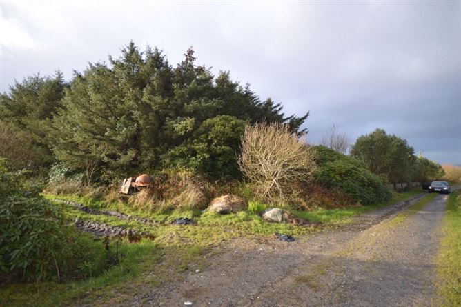 Newline, Dooyork, Geesala, Co. Mayo
