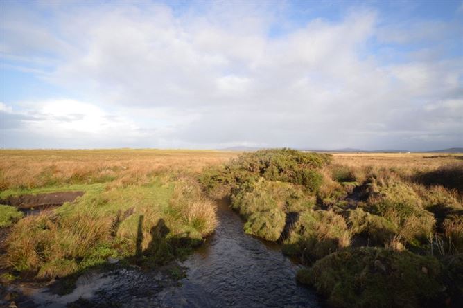 Newline, Dooyork, Geesala, Co. Mayo