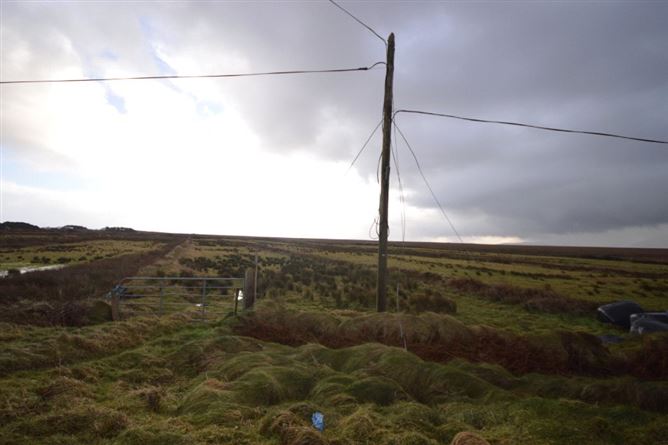 Newline, Dooyork, Geesala, Co. Mayo