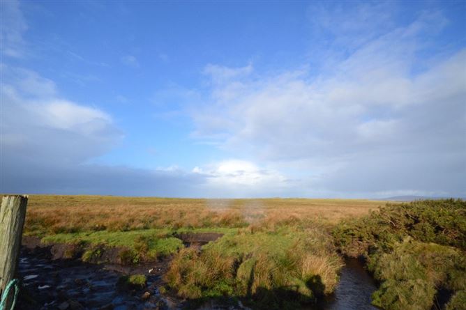Newline, Dooyork, Geesala, Co. Mayo