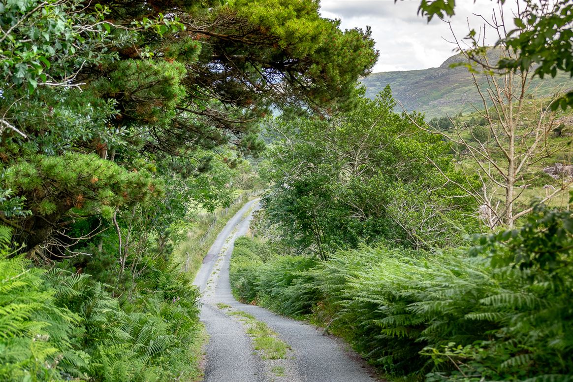 Graignagreana, Blackvalley, Kenmare, Co. Kerry