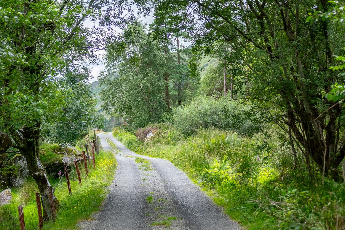 Graignagreana, Blackvalley, Kenmare, Co. Kerry