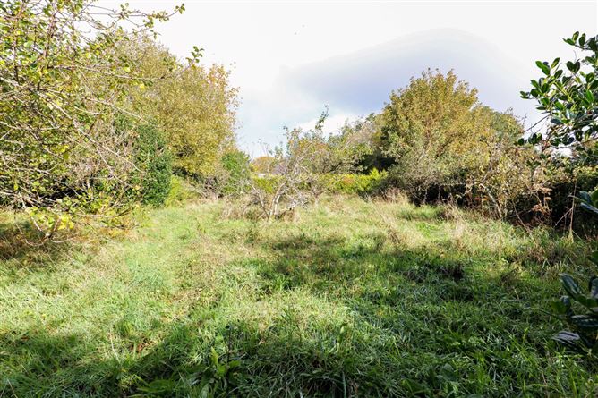 Hazeldene, Rosscahill West, Co. Galway