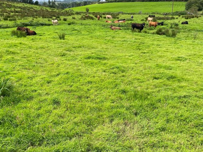 Summerhill, Donegal Town, Co. Donegal