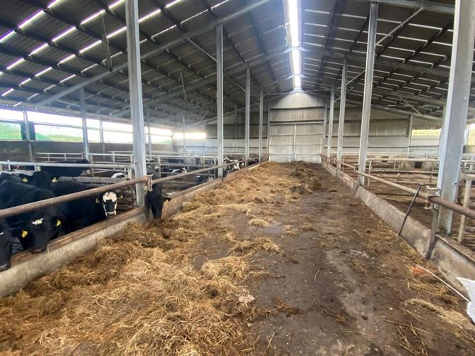 Summerhill, Donegal Town, Co. Donegal