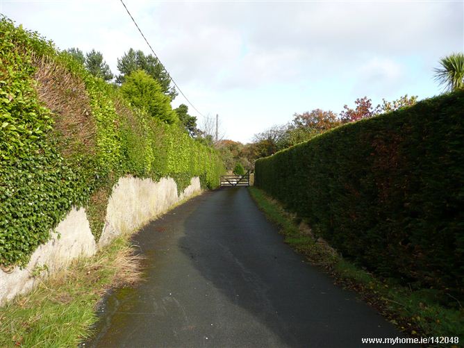 Ballycorus Road, Kiternan, Kilternan, Co. Dublin