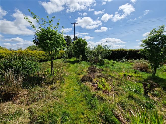 Derryronane, Swinford, Co. Mayo