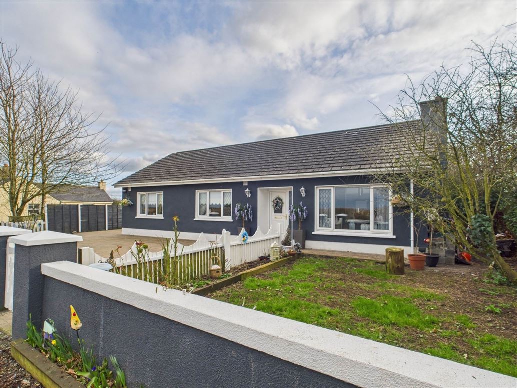 Carlow Road, Ballylynan, County Laois