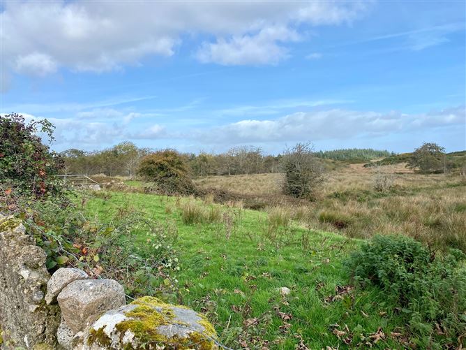 Main image for Lot 2 Pollnaclogha, Moycullen, Galway