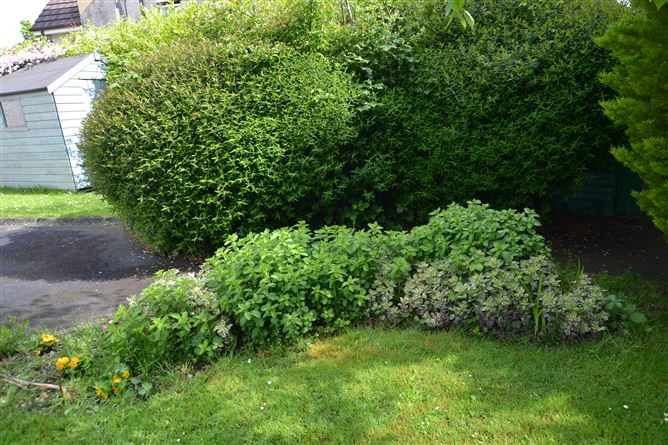 11 The Paddocks, Gorey, Wexford