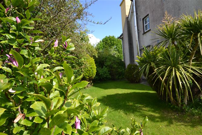 11 The Paddocks, Gorey, Wexford