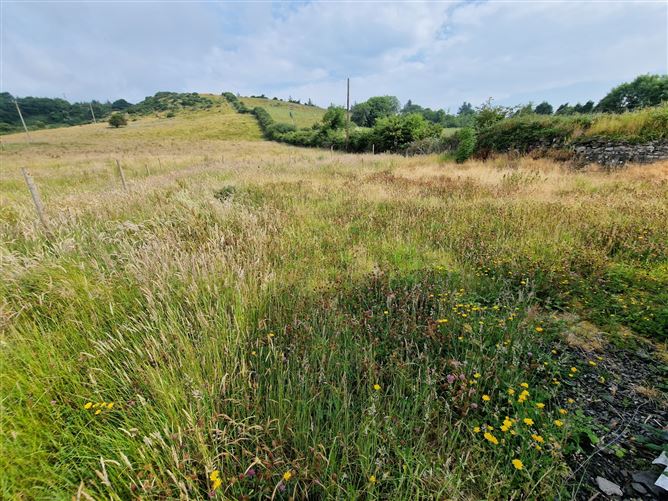 Greygrove, Kilmihil, Co.Clare