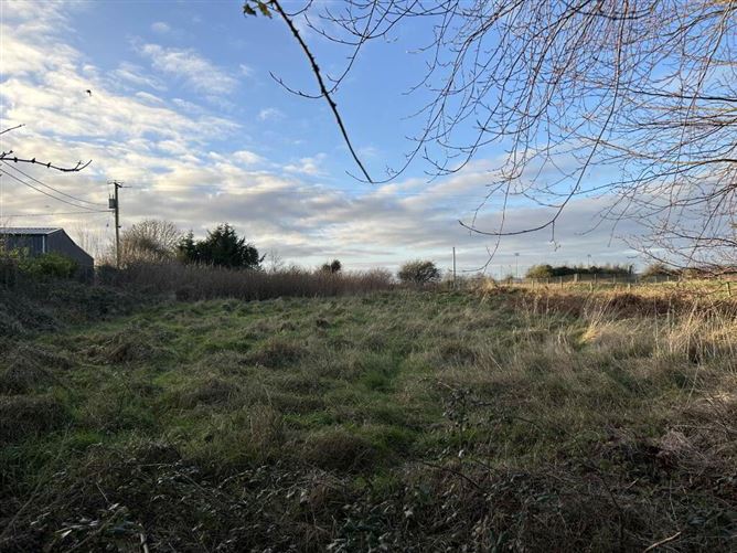 Castle Avenue, Derrin, Borris In Ossory, Laois