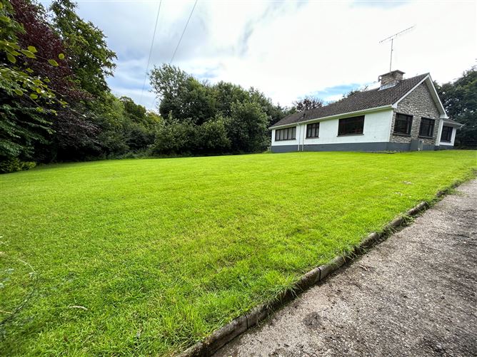 Barbervilla Demesne, Collinstown, Westmeath