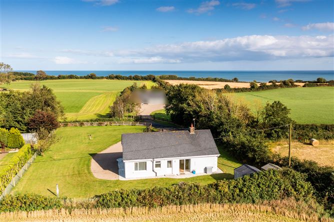 Rosa, Ballyvaldon, Blackwater, Co. Wexford