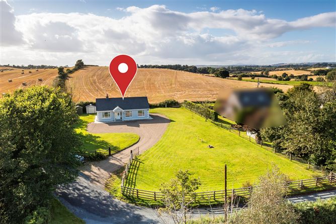 Rosa, Ballyvaldon, Blackwater, Co. Wexford