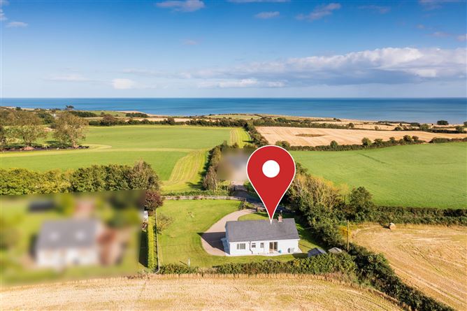 Rosa, Ballyvaldon, Blackwater, Co. Wexford