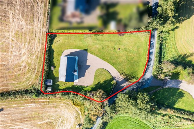 Rosa, Ballyvaldon, Blackwater, Co. Wexford