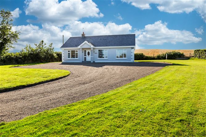 Rosa, Ballyvaldon, Blackwater, Co. Wexford