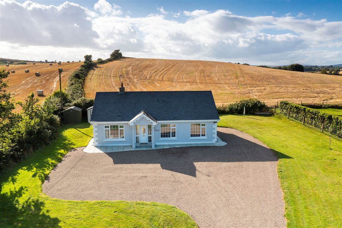 Rosa, Ballyvaldon, Blackwater, Co. Wexford