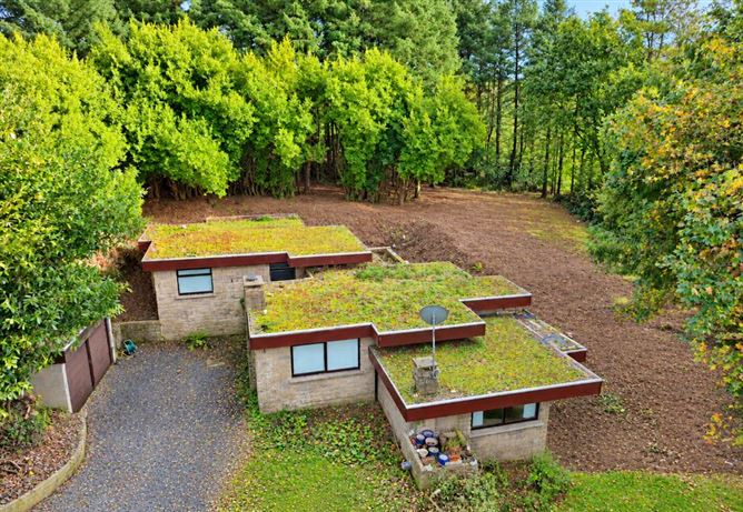 Unique Hideaway on c. 2 Acres, Scalp, Hollywood, Wicklow