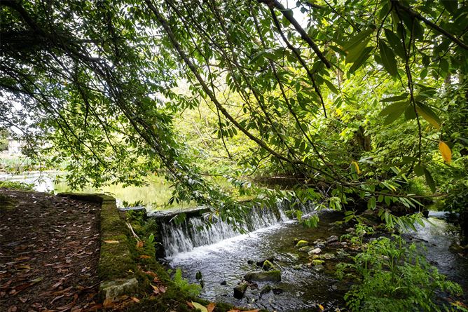 Assolas House, Kanturk, Co. Cork