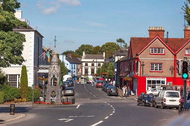 Bushfield, West Street, Lismore, Waterford