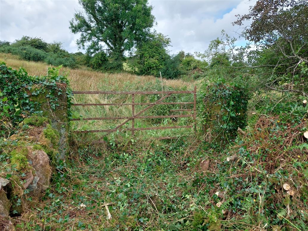 Gortnapeasta, Clondrohid, Macroom, Cork