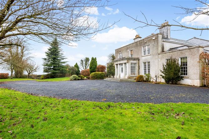 Newtown House, Newtown, Enfield, County Kildare